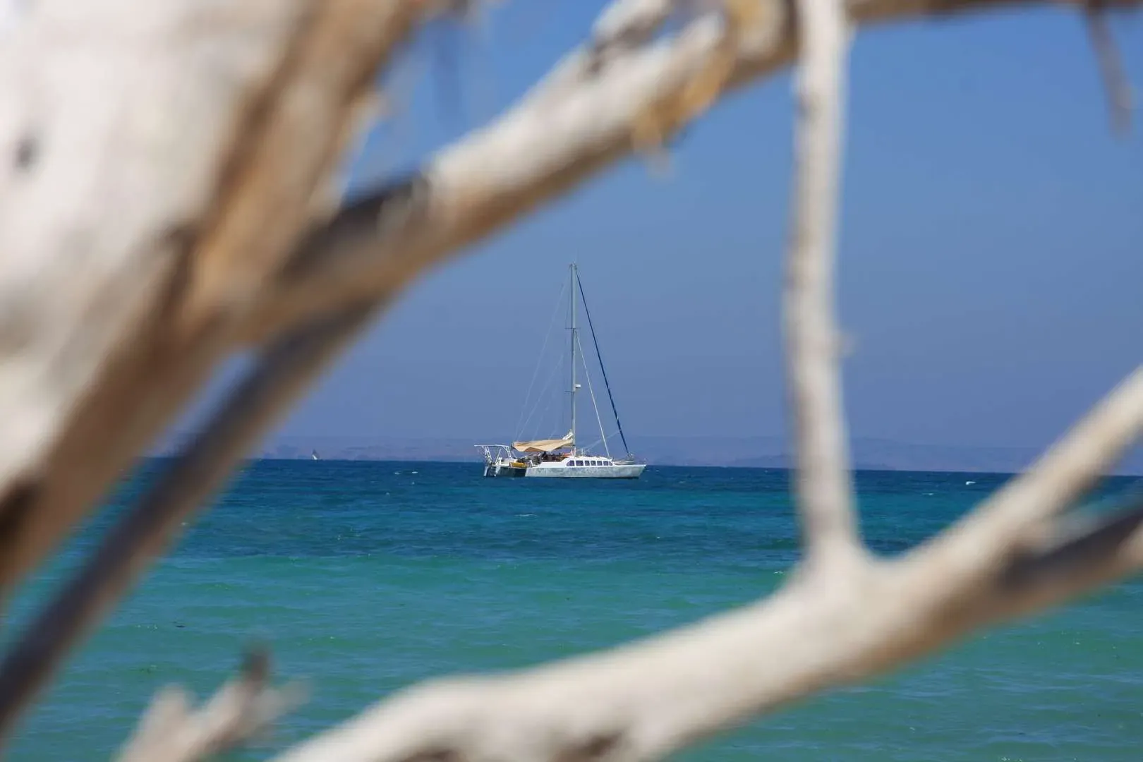 Djebel Amour sur les flots