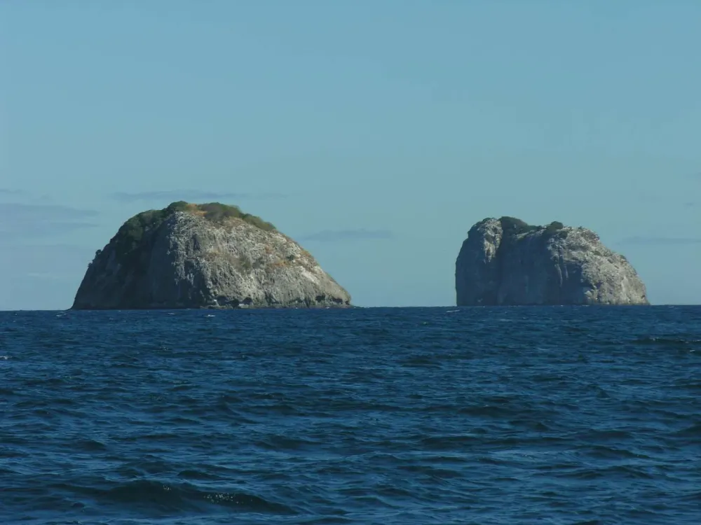 4 frères