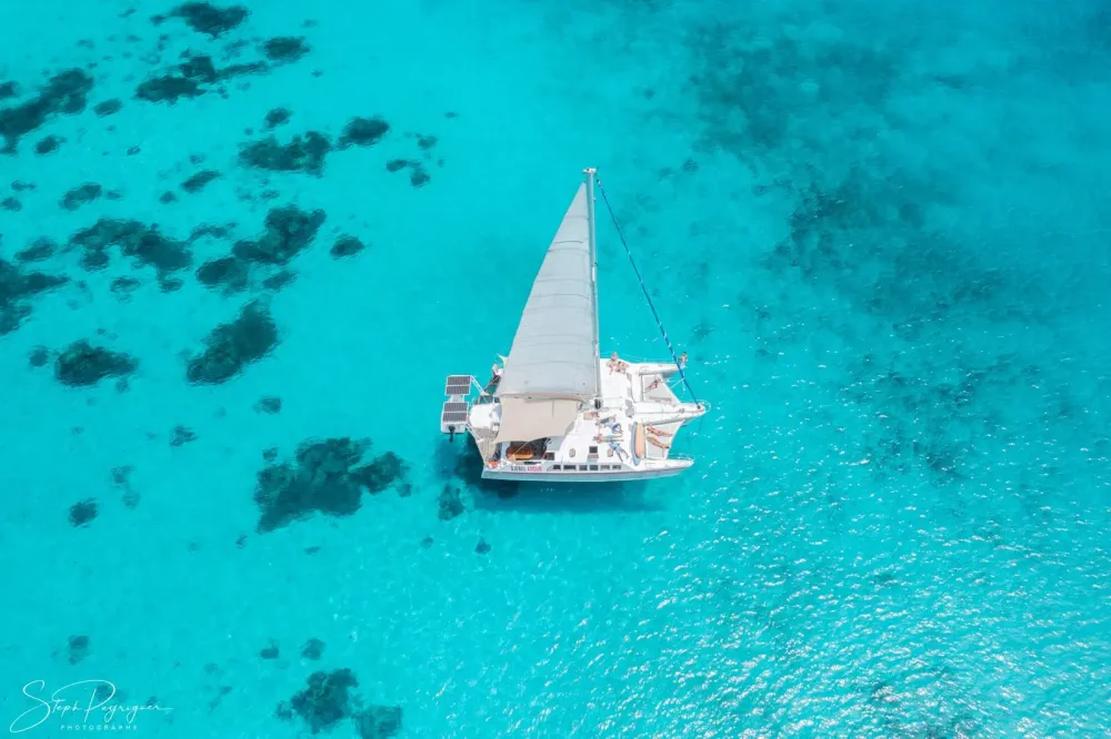 Croisière